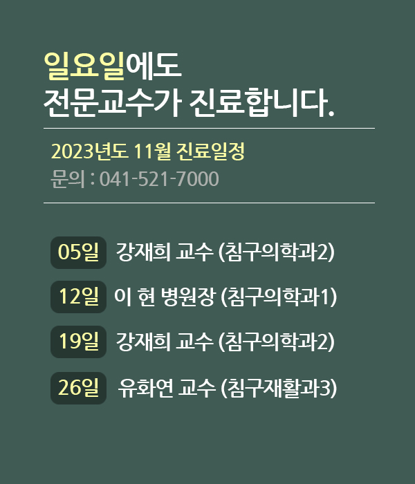 11월
