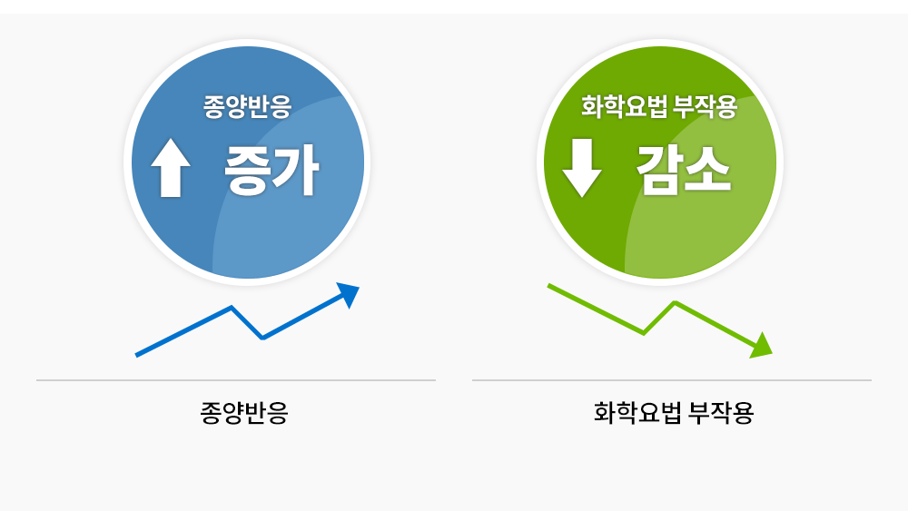 통합암치료의 세포사멸 유도 도표