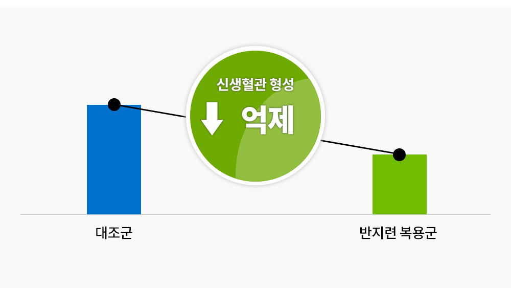 통합암치료의 신생혈관 형성 억제 도표