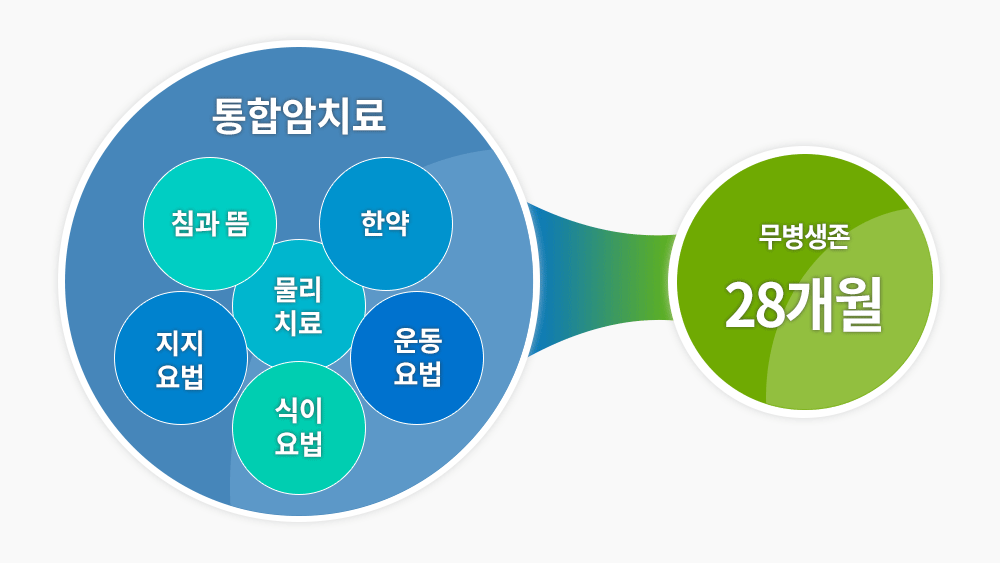 통합암치료의 통합 암치료로 삶의 질이 개선된 폐암 도표